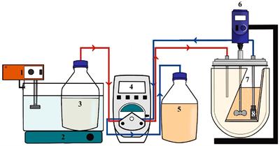 Synthesis of Lactulose in Continuous Stirred Tank Reactor With β-Galactosidase of Apergillus oryzae Immobilized in Monofunctional Glyoxyl Agarose Support